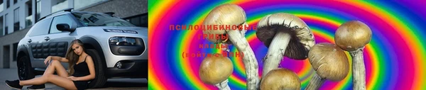 марки lsd Богданович